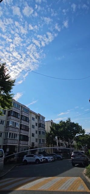 Sunny beautiful Sky #viral z