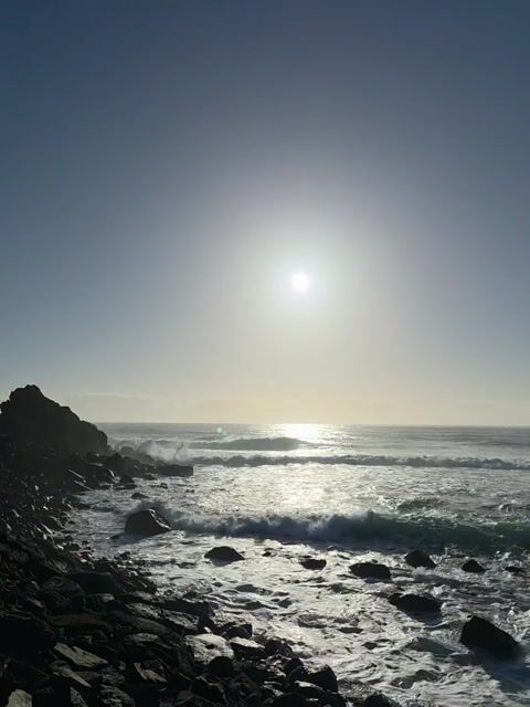 🌊