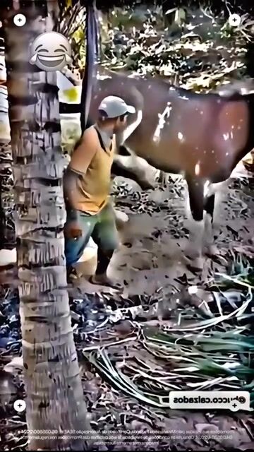Funny 😁 #funnyshorts