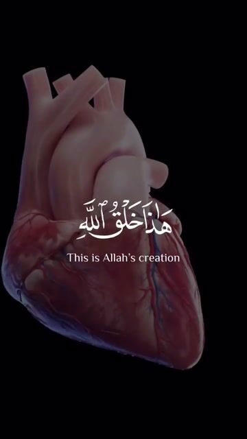 #, quran #