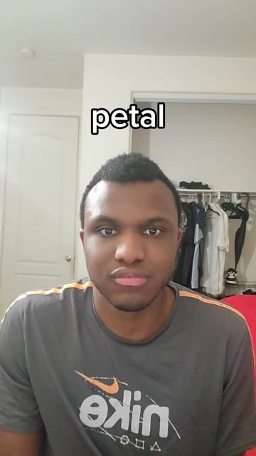 petal #fyp #arianagrande #petal #lipsync