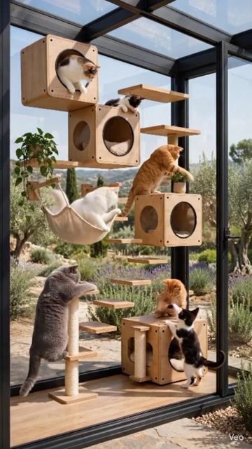 Amazing Pet Birds in a Luxury Aviary 🐦✨ | Beautiful Bird House & Nature View
 #pets #birds #animallovers  #fyp #foryou #freetalk