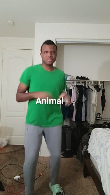 you move like an Animal 🐾  #fyp #Animal #dance #katseye #viral